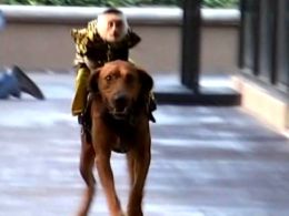 Bobo the Monkey Rides Red the Dog to Promote State Fair