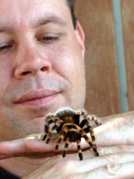 It's Tarantula Season