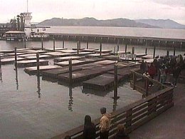 Honored Guests Missing From Pier 39 Party