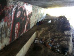 Baby Born Under Napa Bridge