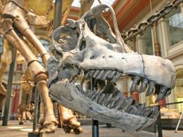 Valley Tale: "Jurassic Park" To Extinct