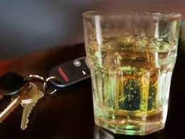 CHP Says Alcohol Played Roll in Deadly Greyhound Crash