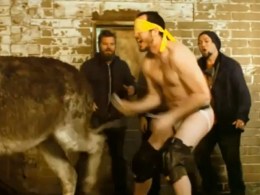 Watch a Grown Man Get Kicked in the Cubes by a Donkey in the "Jackass 3.5" Trailer