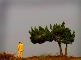 Complete Coverage: California Wildfires