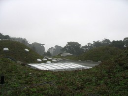 Academy of Sciences Living Roof Grows Up
