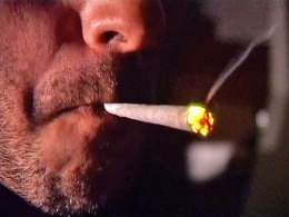 Pot Vote: Legalizing Marijuana Could Be On 2010 Ballot