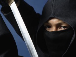 Ninjas Come to the City