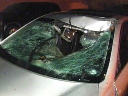 Tree Branch Crushes Car, Nearly Kills Driver