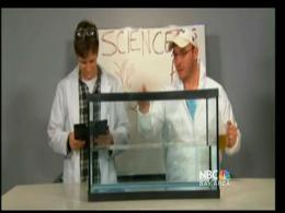 Hey BP: Here's an Idea For You