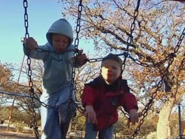Website Monitors SF Park Health