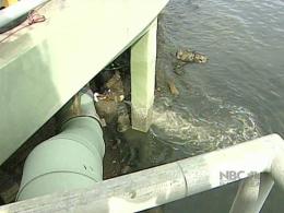 500,000 Gallons of Sewage Leak Into Bay