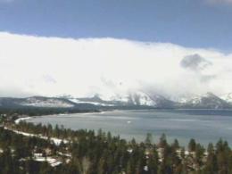 Table Spice Turning Tahoe Trees 