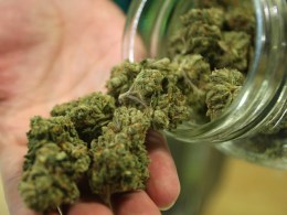 California High Court Strikes Down Medi-Pot Limits