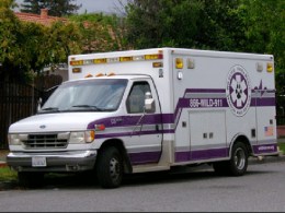 Wildlife Ambulance to the Rescue