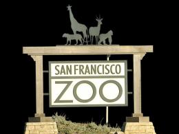 Grizzly Bear Intruder Identified