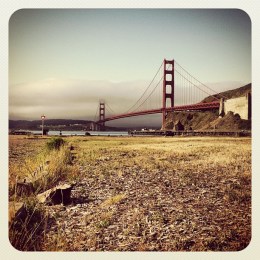 More Instagram Images of GGB75