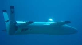 Deep Flight Super Falcon