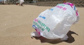 Got Your Bags California?