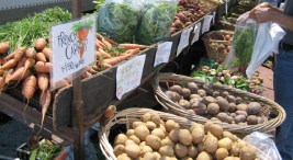 Farmer's Market Taking Root in the Castro