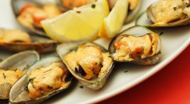 Mill Valley Wine and Gourmet Food Tasting