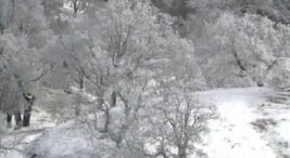 Northern California Becomes Surfer, Snow Lover's Paradise