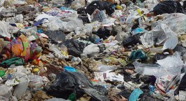 San Francisco OKs Toughest Recycling Law in the U.S.