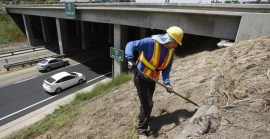 Local Bridge Safety Questioned in New Report