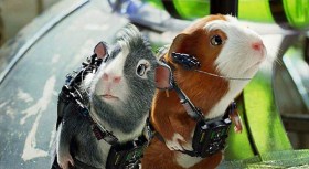 G-Force: Why It's a Must-See Movie
