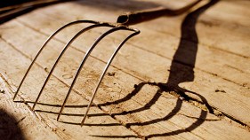 Vallejo Woman Attacked With Pitchfork Over Social Media Photo