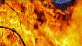 Naked, Burned Woman Found On Side of Road in Santa Rosa