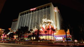 Cal Students Charged in Vegas Bird Decapitation