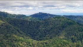 Donors Who Bailed Out State Parks Want Money Back