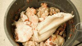 SF Food Safety Inspectors Took Bribes
