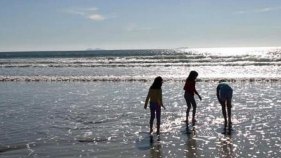 Just in Time for Summer: Beach Report Card