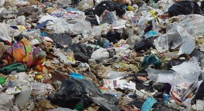 San Francisco OKs Toughest Recycling Law in the U.S.