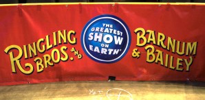 Images From the Circus