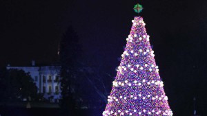 President Obama Lights National Christmas Tree