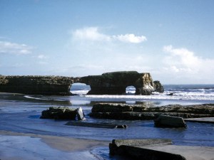 The Beach and the Butterflies