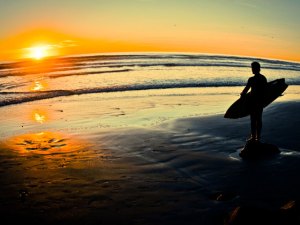 Opinion: Tax Refunds Could Rescue Parks