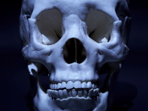 Bones Found Behind Oakland School ID'd