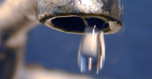 Bay's Funky Tap Water Caused By Algae