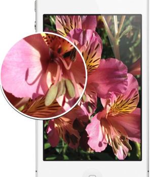 iPad 3's 'Retina Display' May Be Too Much For Suppliers