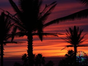Top 10 Reasons California Is Better Than Texas