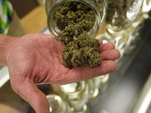 Pot Clinic Cleared for Move to Former Candy Company