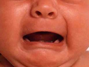 Screaming Toddler Booted from SJ Flight