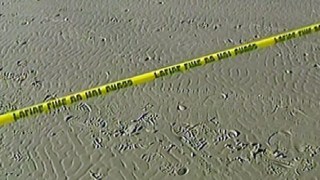 Woman Drowns at Sunset State Beach Near Watsonville
