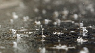 Fishy Weather: Oroville Elementary School Hit with Unexpected Downpour
