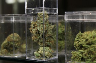 Livermore Council Bans Commercial Marijuana Cultivation