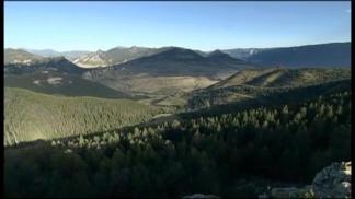 Richmond Teenager Survives Bear Attack
