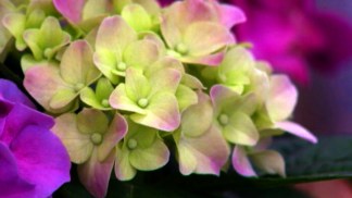 Beating the Winter Blahs